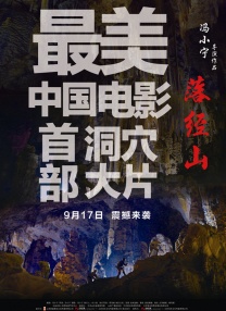 其它的特殊服务